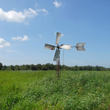 Weerribben (NP Weerribben-Wieden)