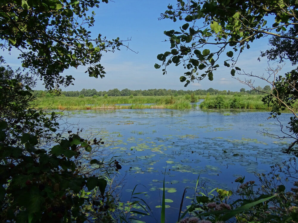 Weerribben (Vrijstaten)