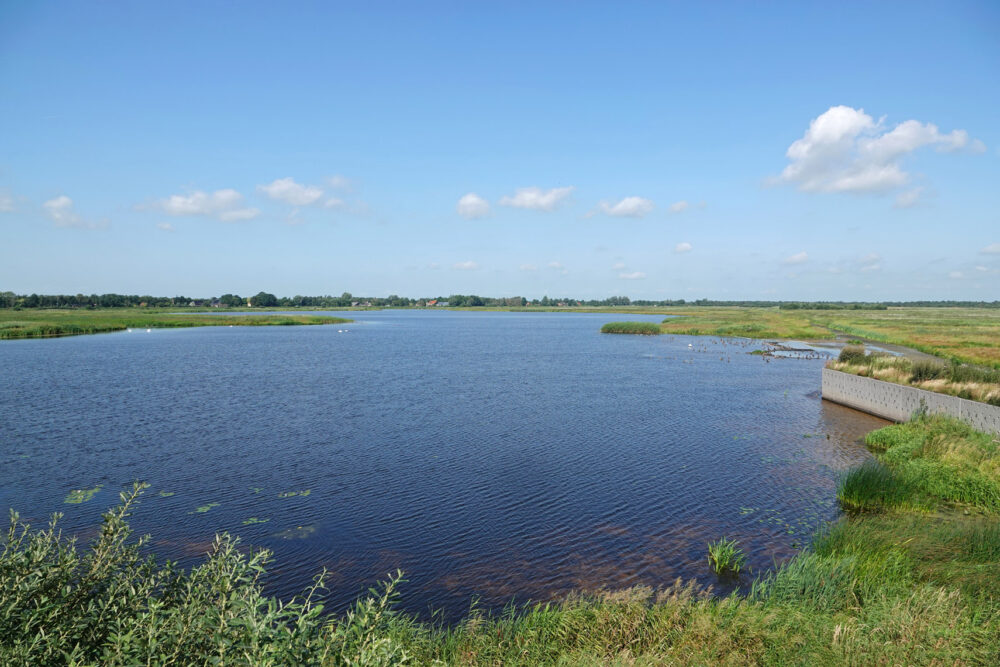 Weerribben (Wetering Oost)