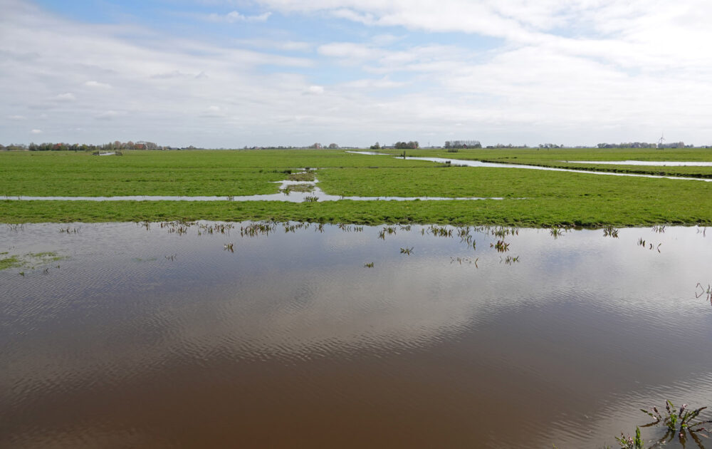 Weidevogelreservaat Skrok