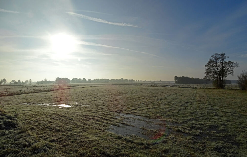 Weilanden met rijp (omgeving Deurzerdiep in Drentsche Aa)
