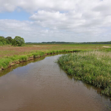 Westerdiep (Drentsche Aa)