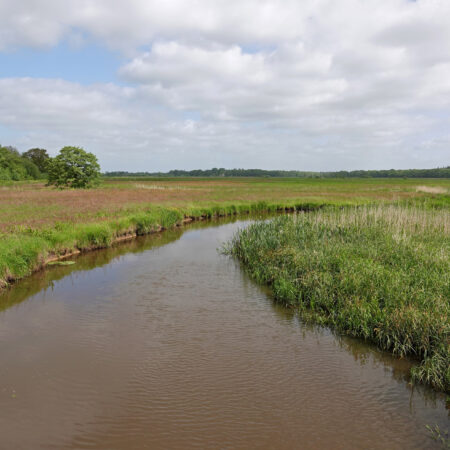 Westerdiep (Drentsche Aa)