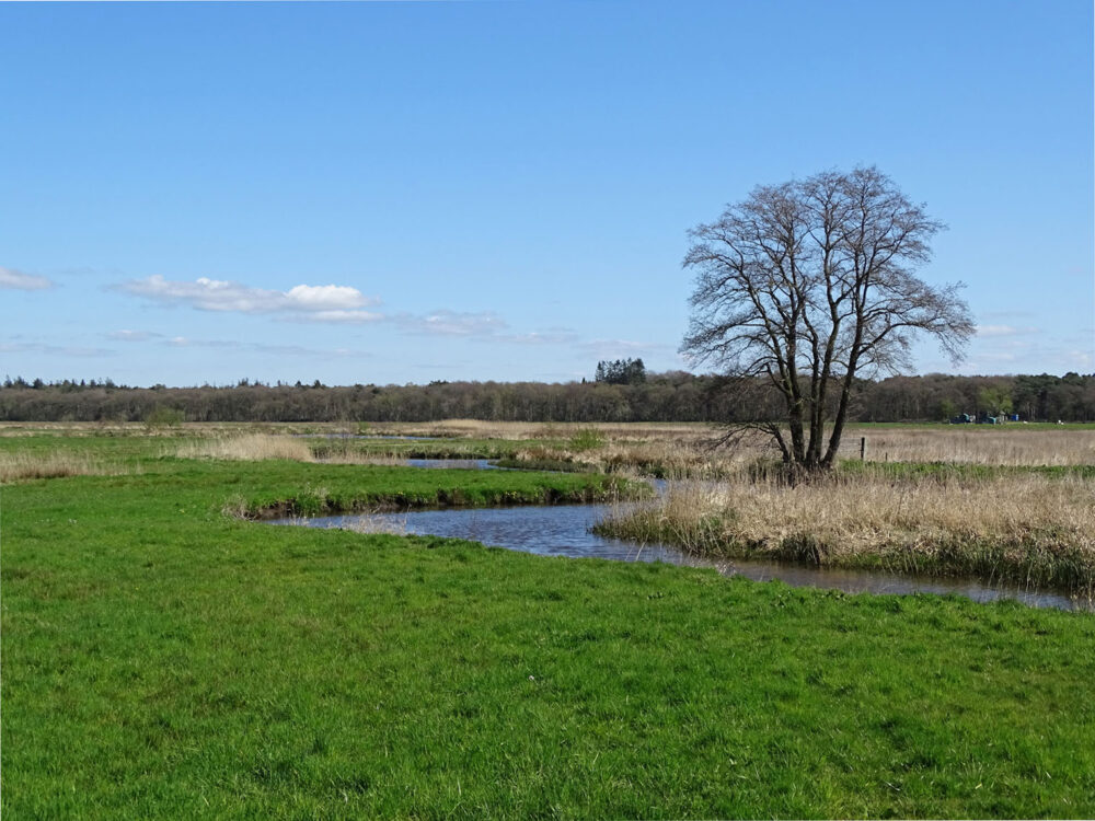 Westerdiep (Drentsche Aa)