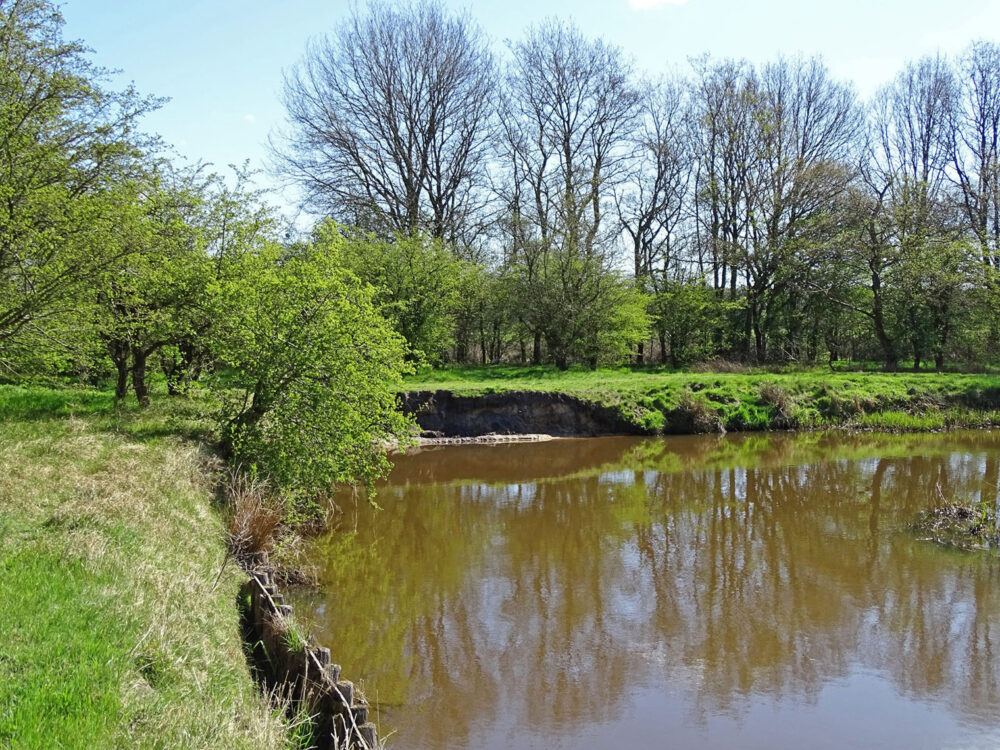 Westerdiep (Drentsche Aa)