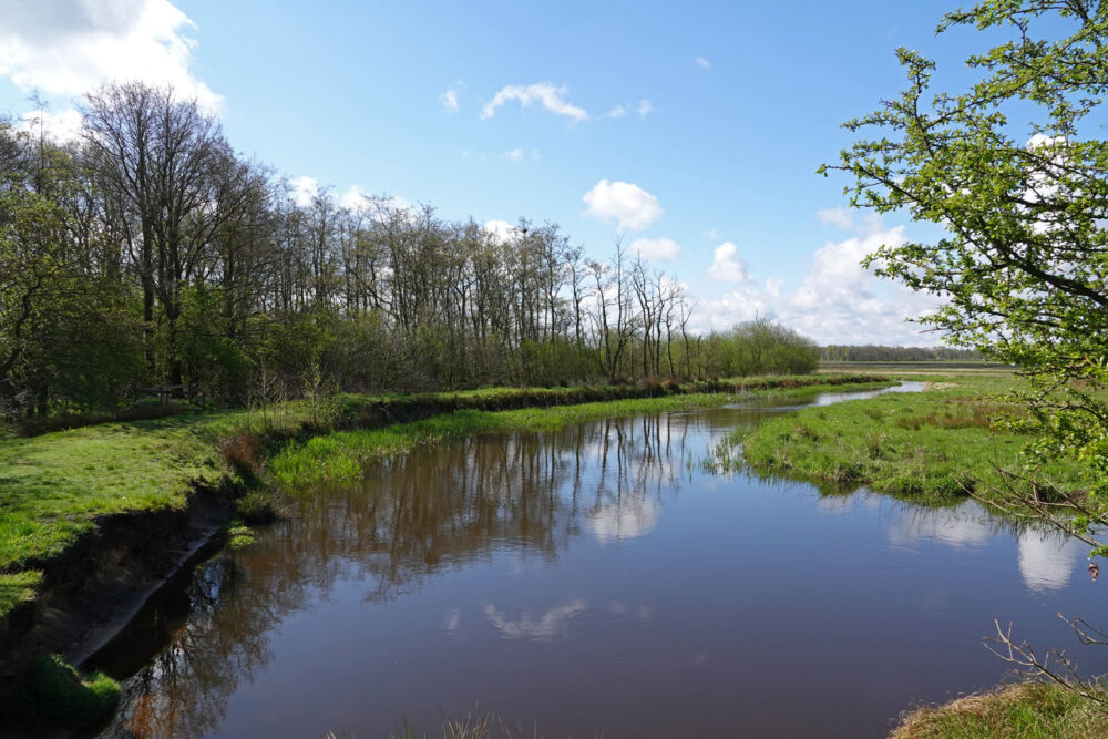 Westerdiep (NP Drentsche Aa)