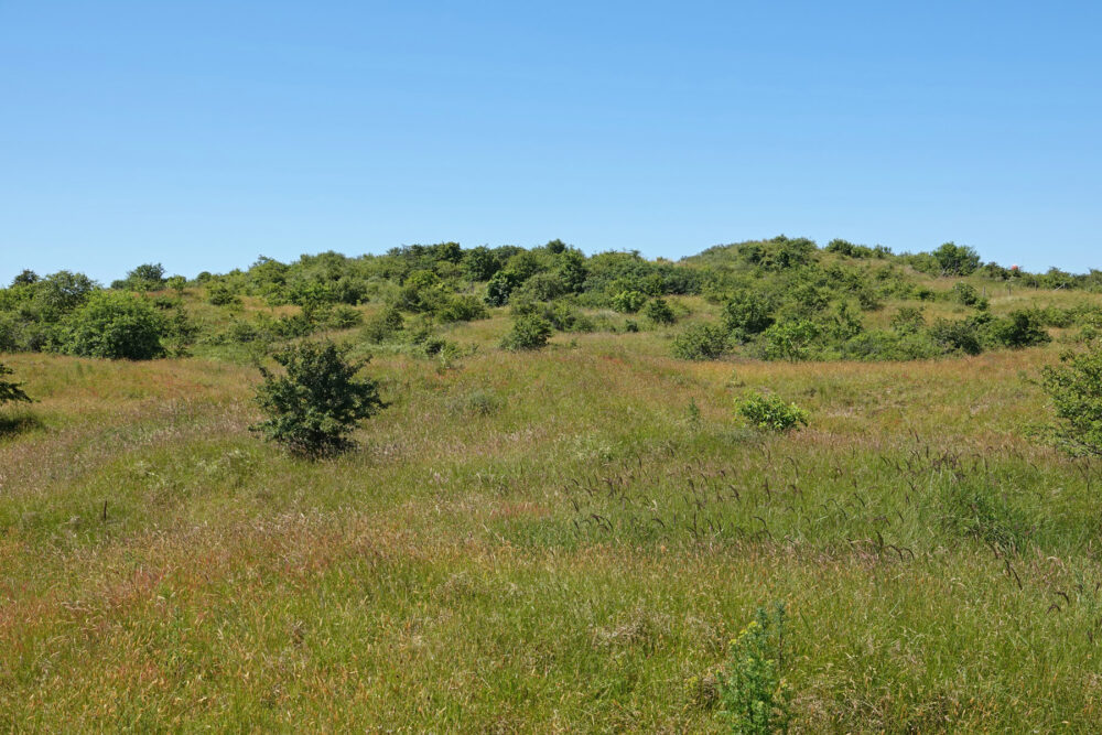 Westerduinen (Schiermonnikoog)