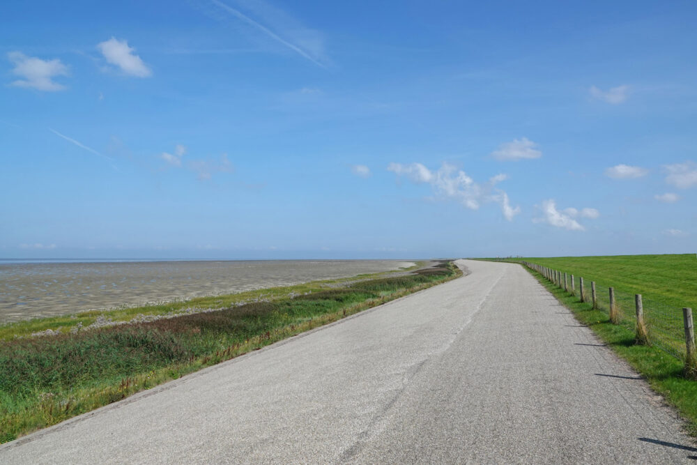 Westhoek in de zomer