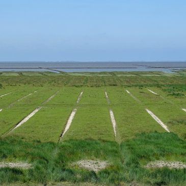 Westpolder