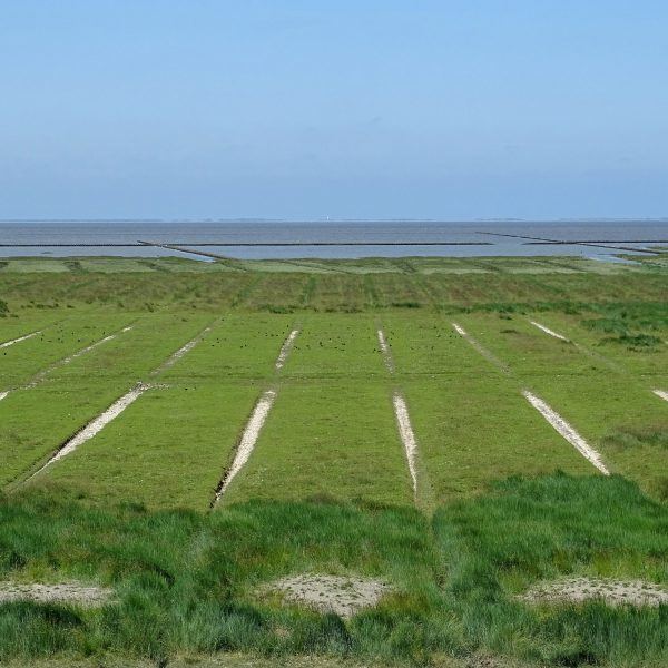 Westpolder
