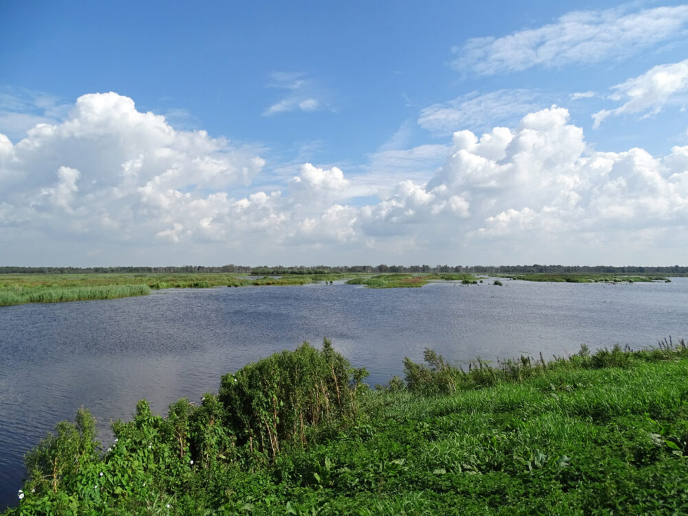 Wetering-oost (Weerribben)