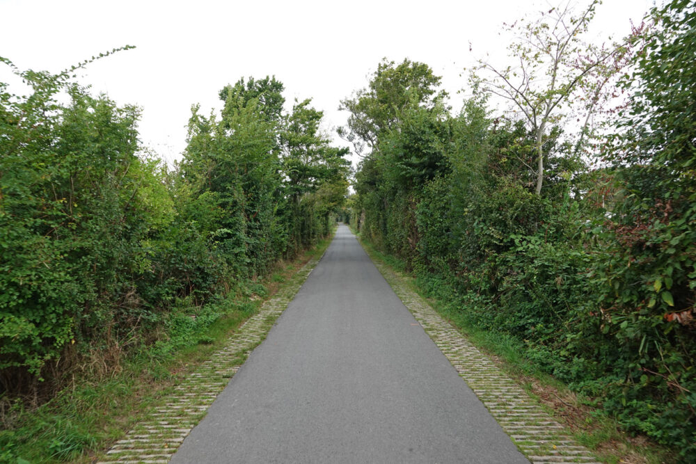 Wieringen