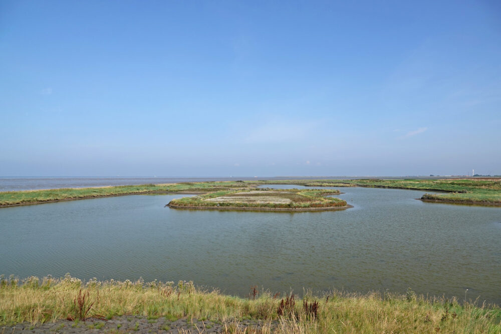 Wieringen (binnendijks plas bij Vatrop)