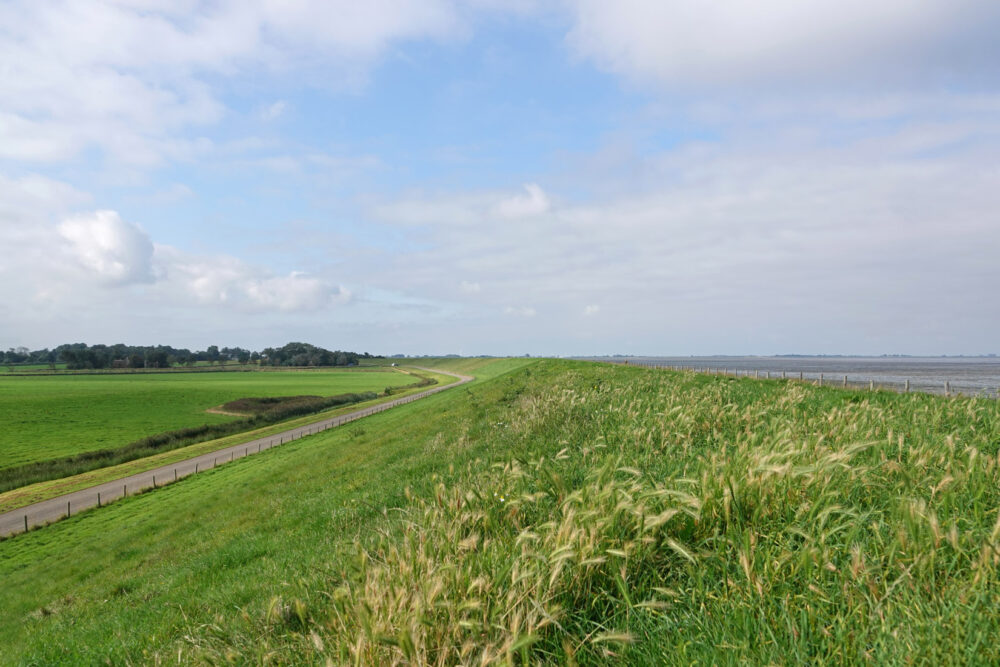 Wieringen (dijk bij Westerland)