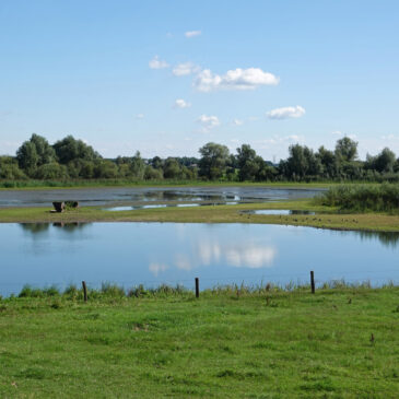 Wiessenbergsche kolk