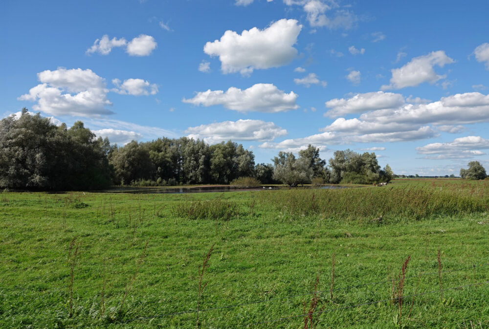 Wijhe buitenwaarden