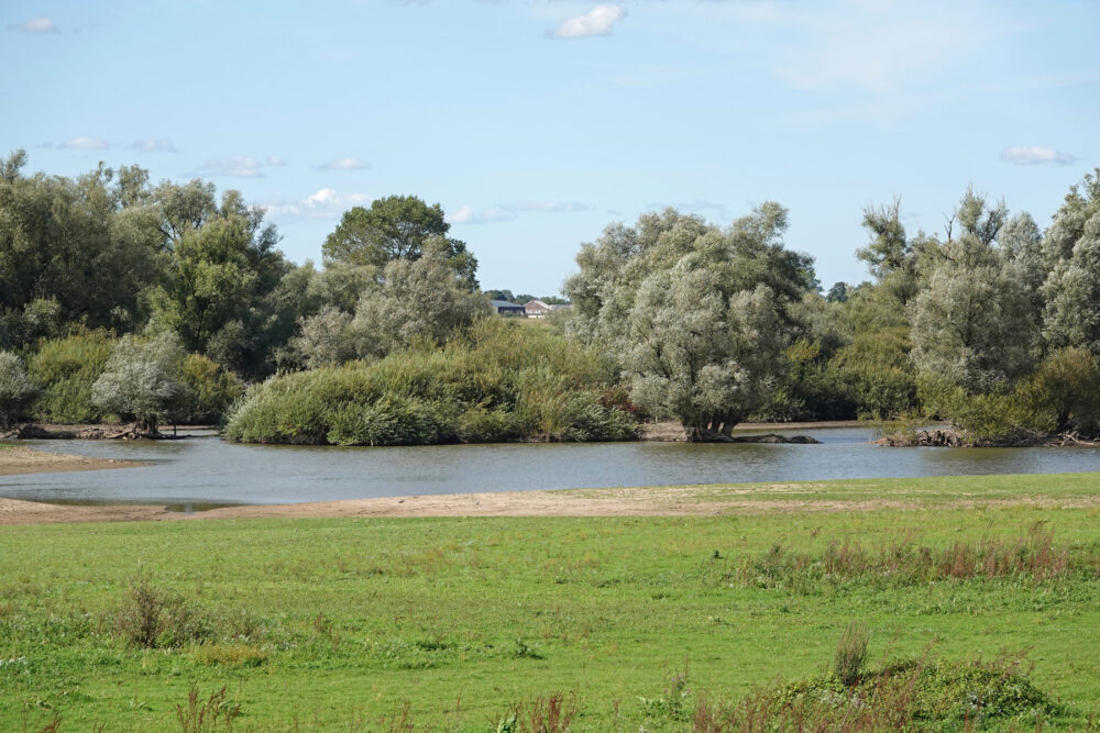 Wijhe buitenwaarden