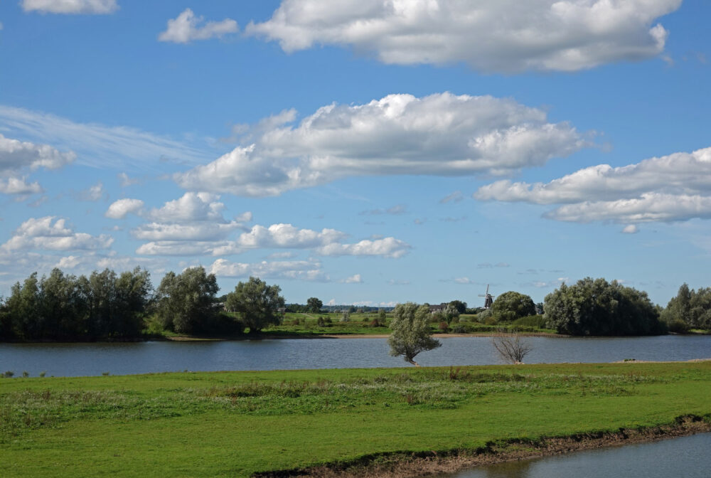 Wijhe buitenwaarden