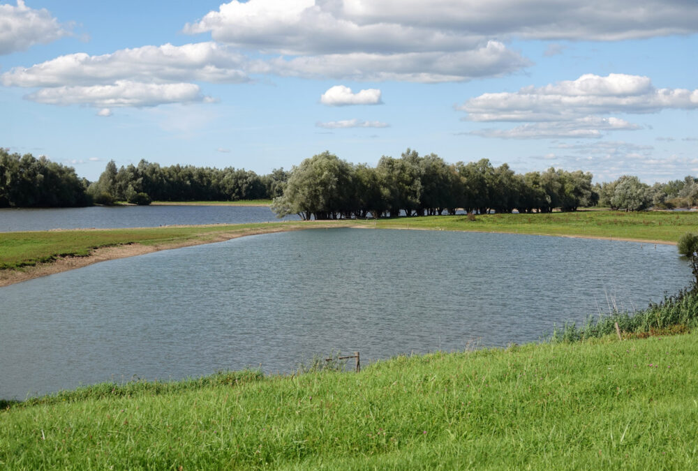 Wijhe buitenwaarden
