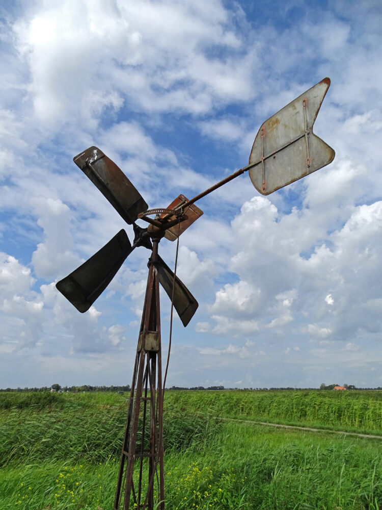 Windmolen Weerribben