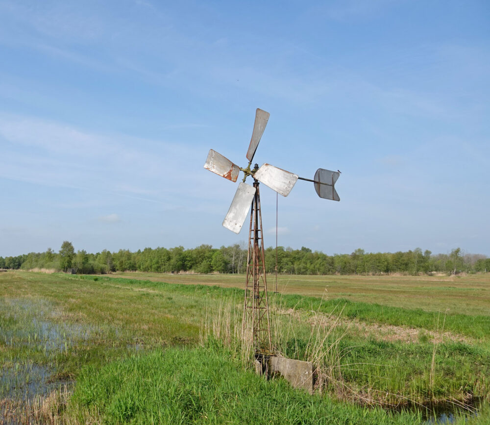 Windmolen in de Weerribben (Venebosch)