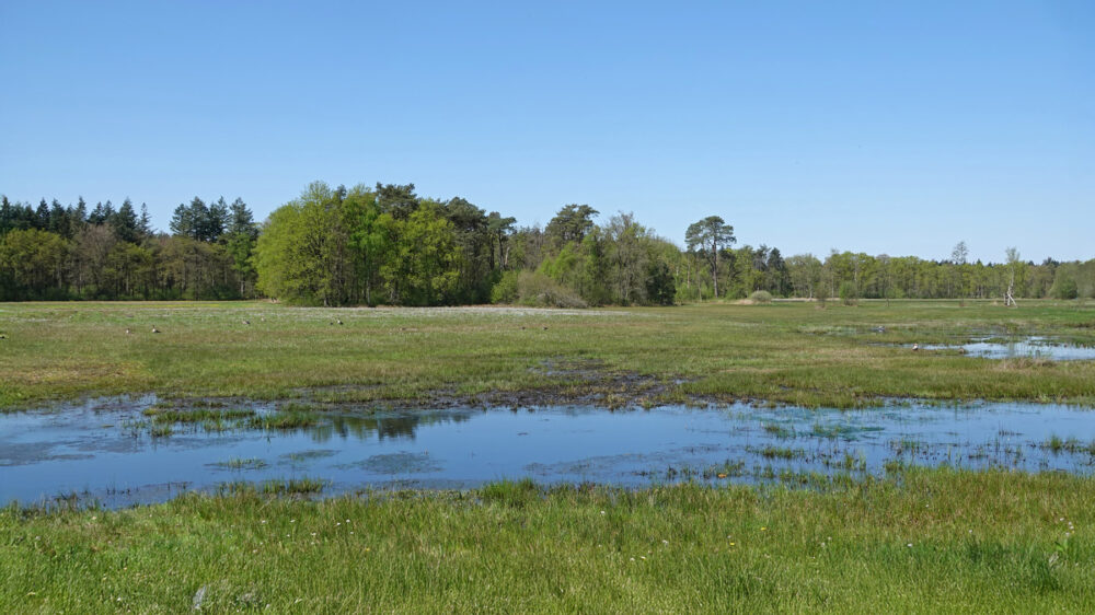 Wisselse Veen