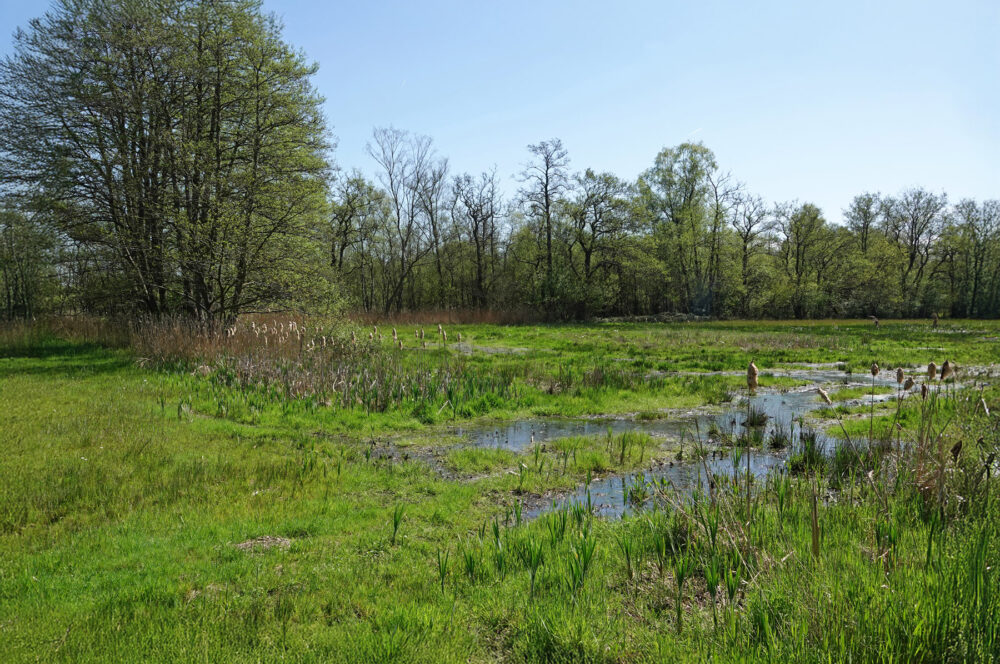 Wisselse Veen