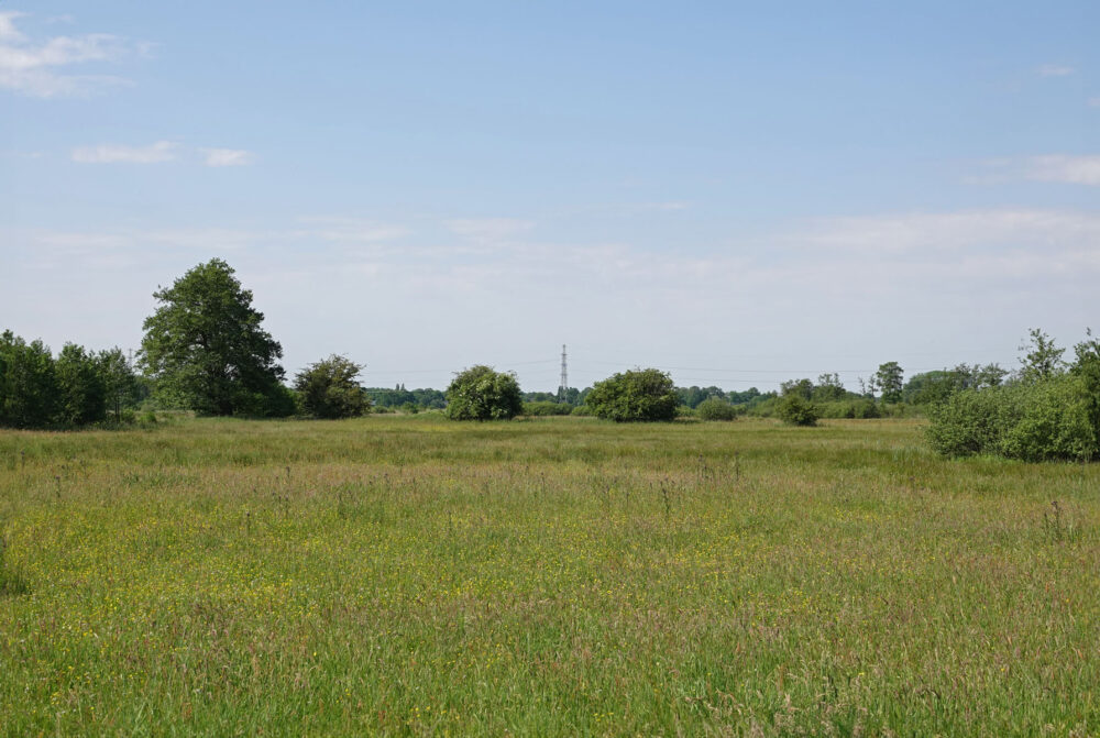 Wolfskampen (Weeringsbroeken)