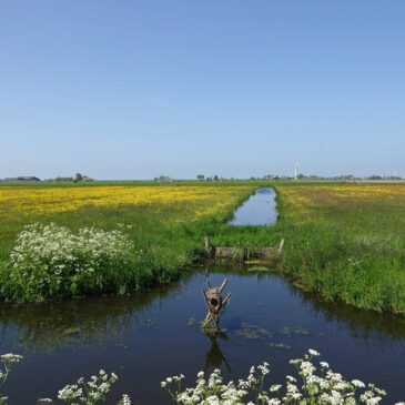 Workumermeer (Friesland)