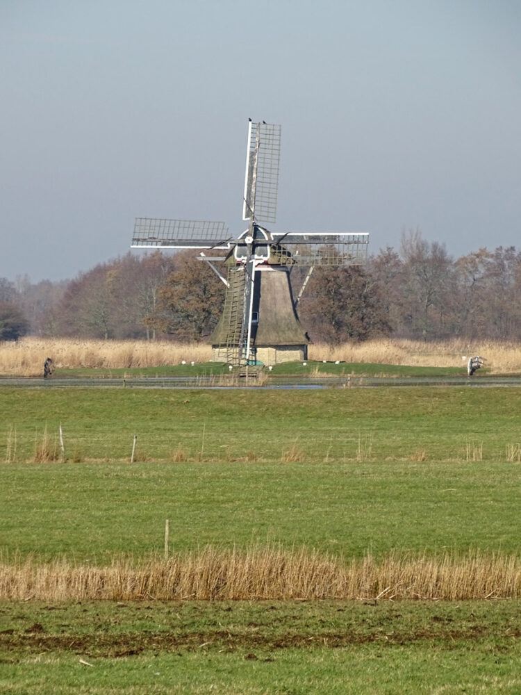 Ypeymolen (Ryptsjerksterpolder)