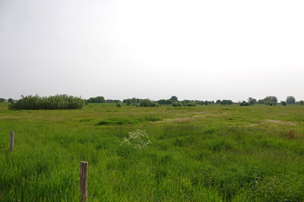 Zalkerwaard