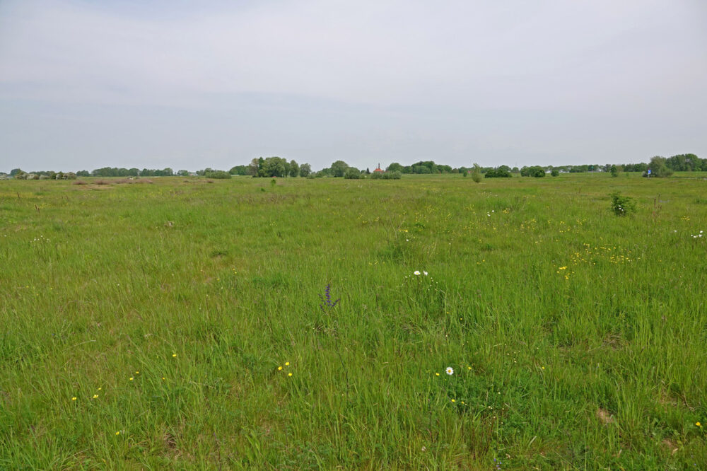 Zalkerwaard