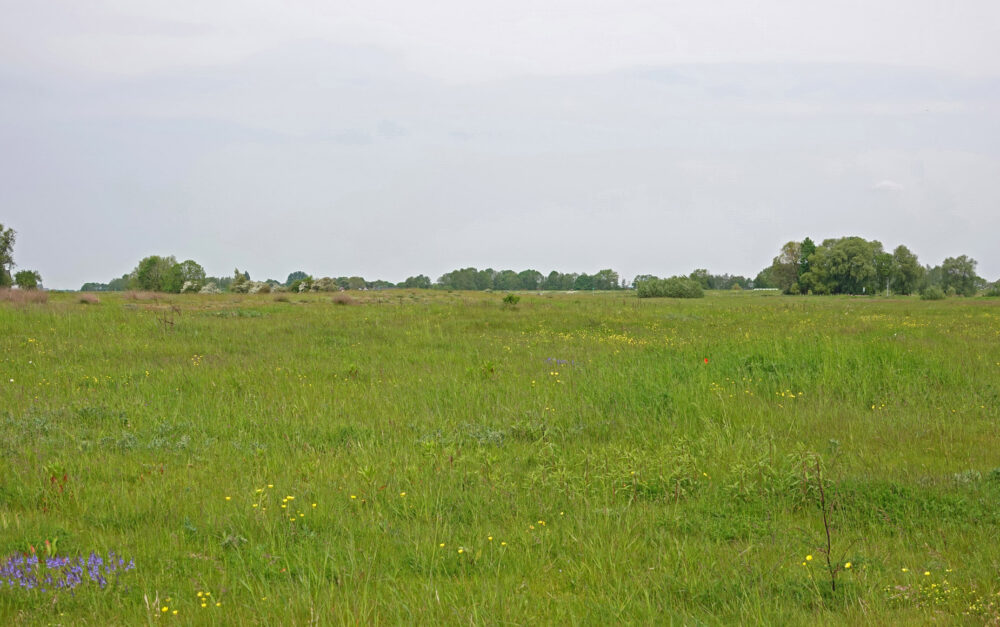 Zalkerwaard
