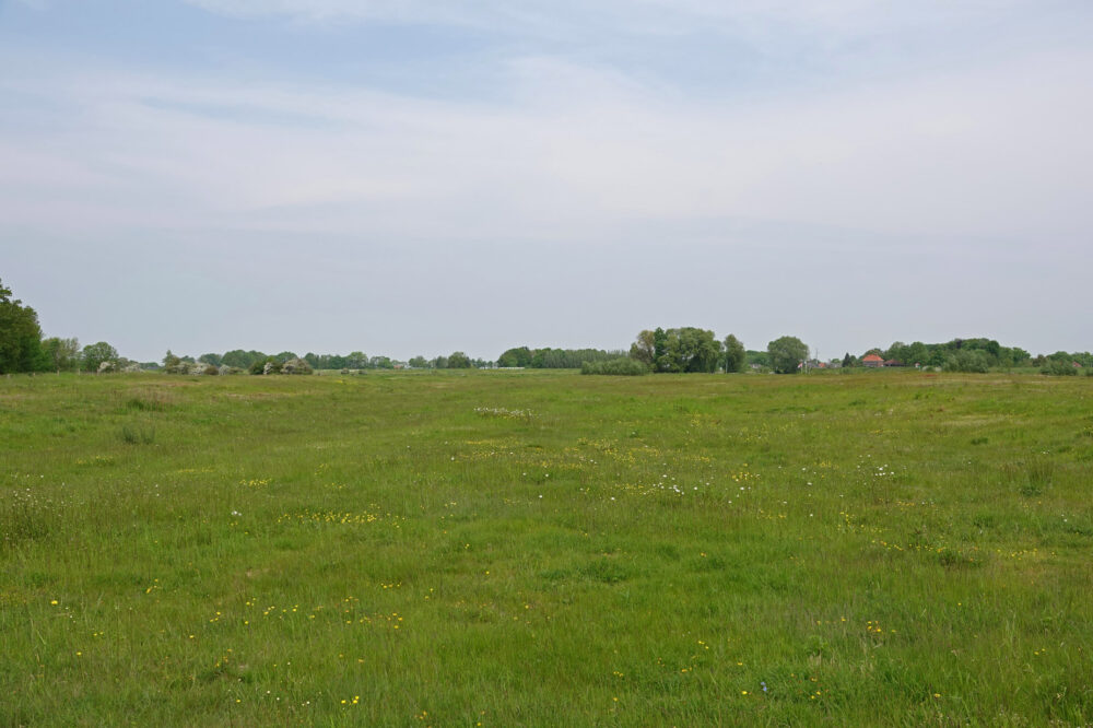 Zalkerwaard