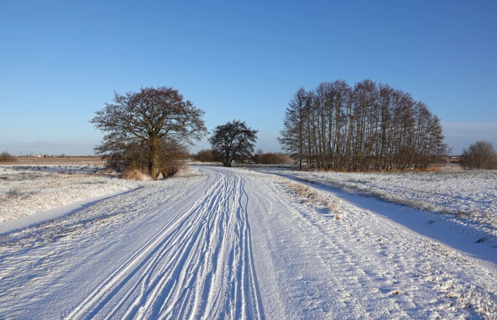 Zanddijk in de Onlanden in de winter