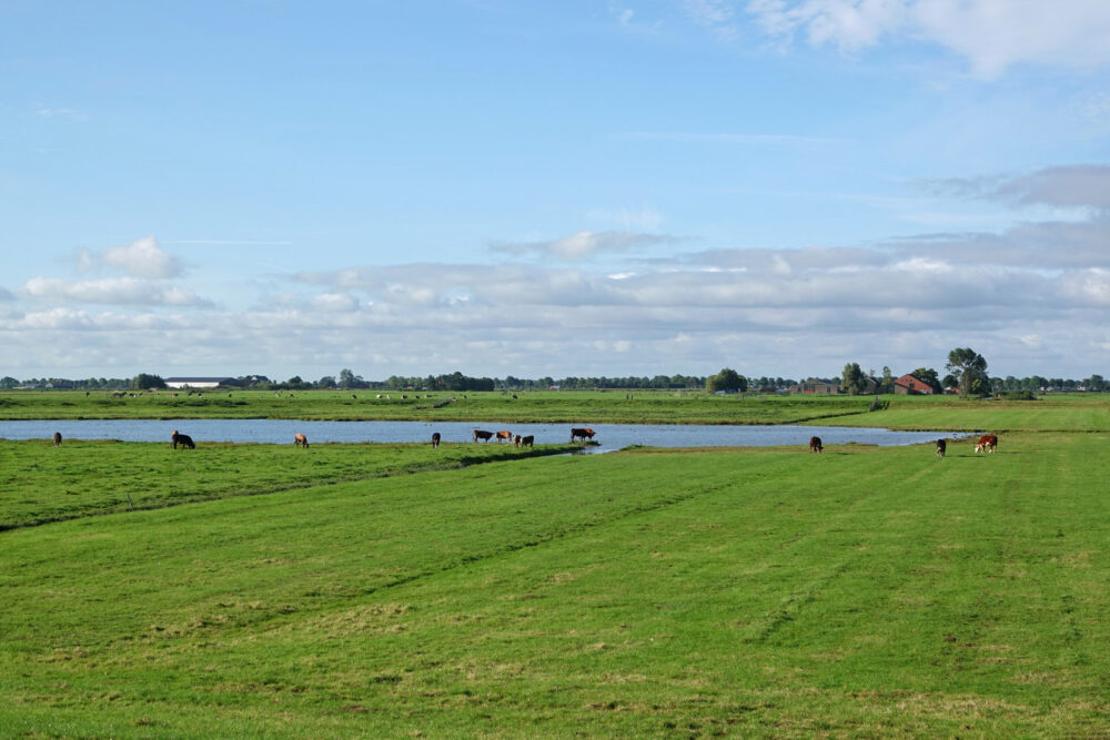 Zeevang (Warder)