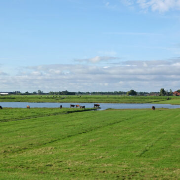 Polder Zeevang