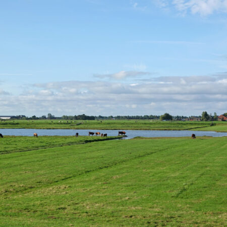Polder Zeevang