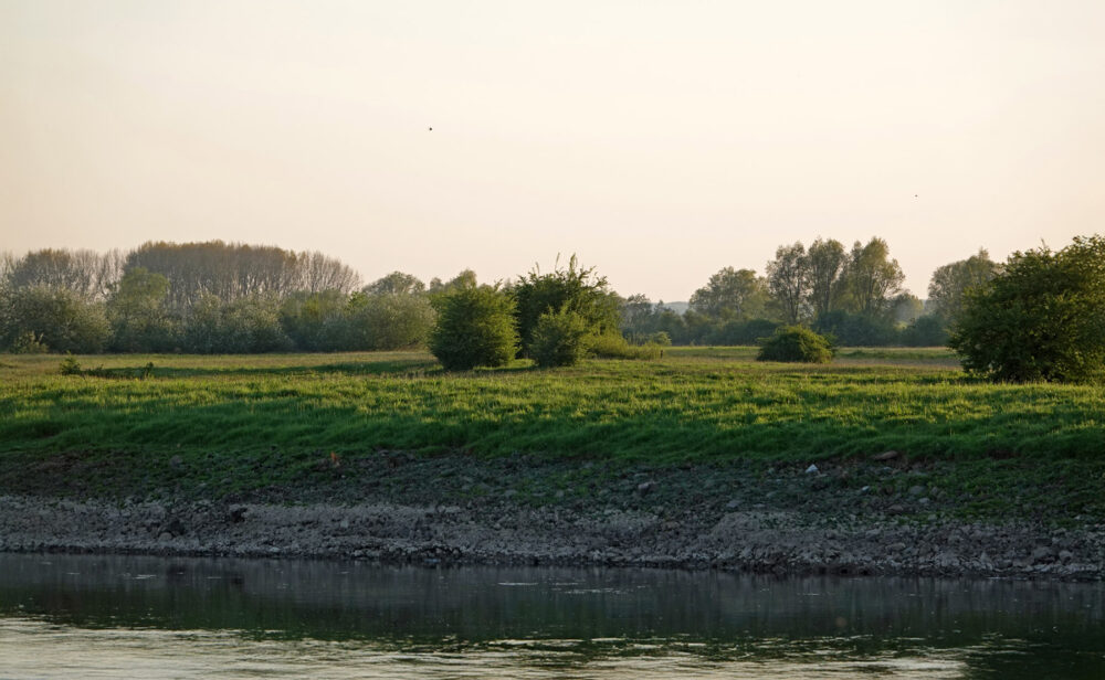 Zicht op Cortenoever vanaf Bronkhorsterwaarden
