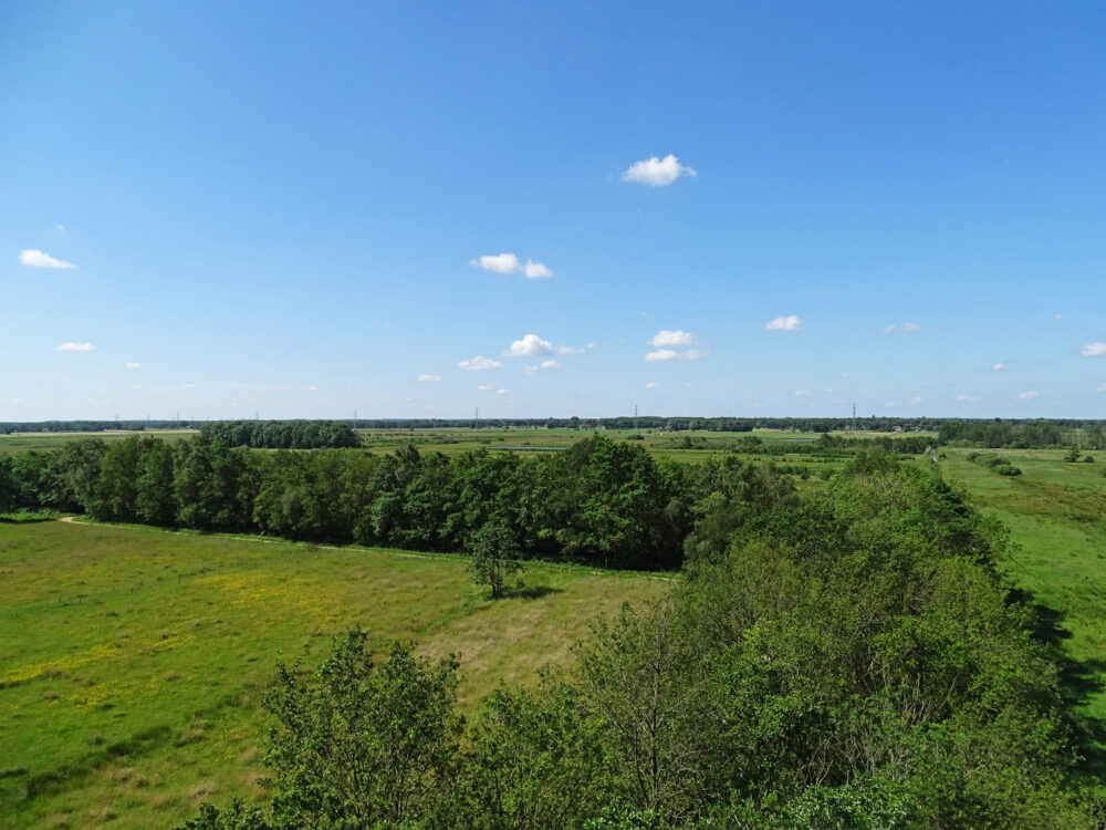 Zicht op Het Beeld en de Weeringsbroeken (Onlanden)