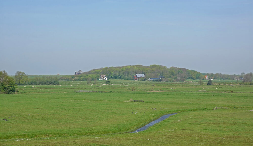 Zicht op Hoge Berg (Texel)