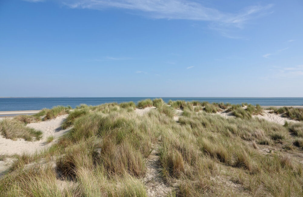 Zicht op Vlieland vanaf Eierlandse Duinen