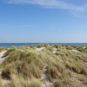Zicht op Vlieland vanaf Eierlandse Duinen