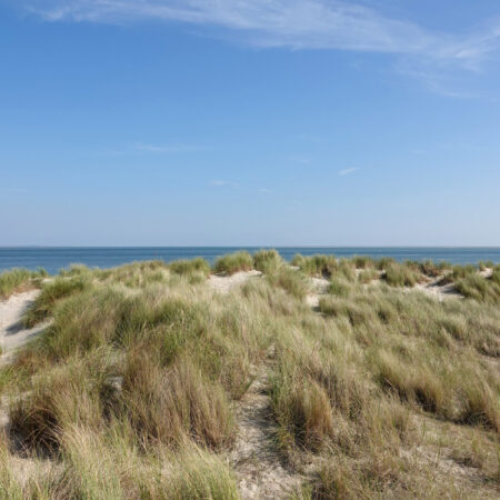 Zicht op Vlieland vanaf Eierlandse Duinen