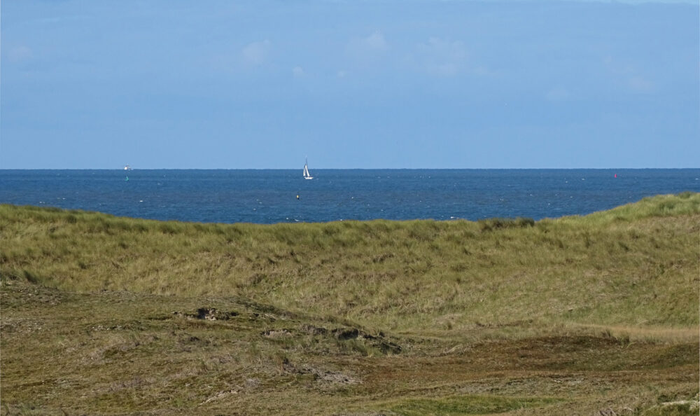 Zicht op de Noordzee vanaf de Grafelijkheidsduinen