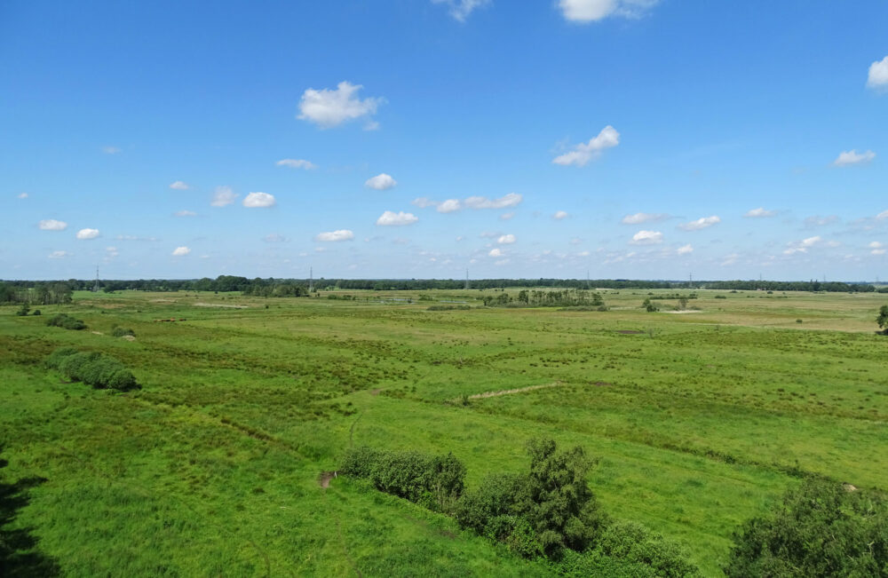 Zicht op de Weeringsbroeken (Onlanden)