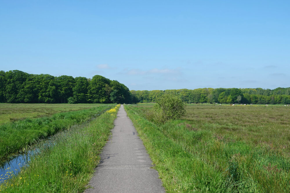 Zicht op landgoed Vosbergen vanuit Polder Lappenvoort