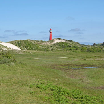 Zicht op vuurtoren (Noordertoren) in Hertenbosvallei in de Westerduinen (Schiermonnikoog)