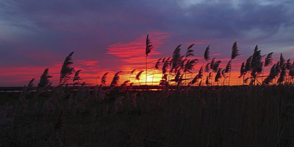 Zonsondergang Onlanden