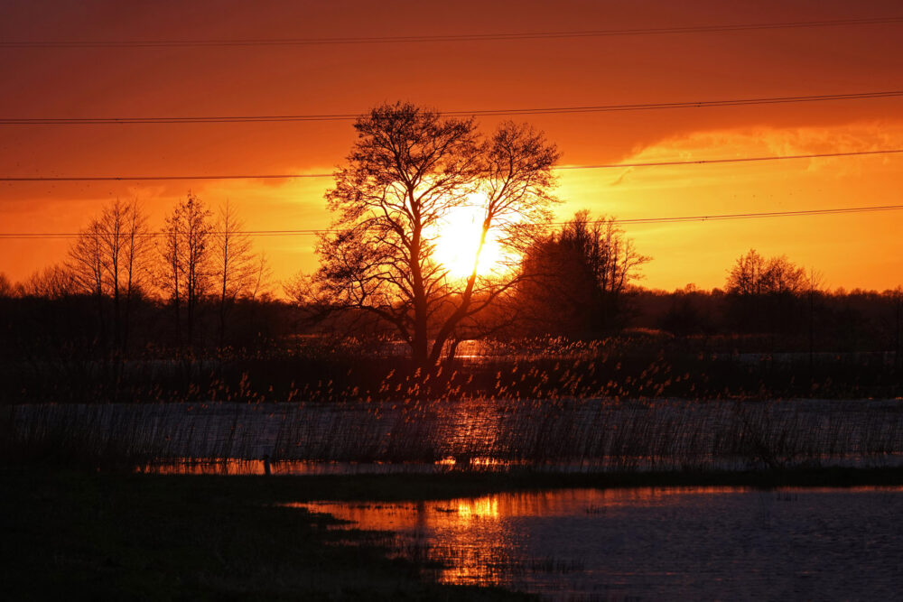 Zonsondergang boven Broekenweering (Onlanden)